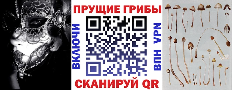 маркетплейс какой сайт  наркошоп  Мончегорск  Псилоцибиновые грибы прущие грибы 